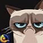 grumpycat33
